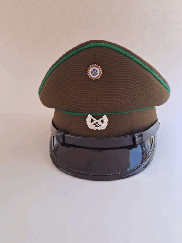 GORRO PNI MASCULINO - CARABINEROS BENSON´S - Imagen 3