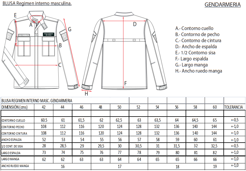 TENIDA DE REGIMEN INTERNO MASCULINA - GENDARMERÍA - Imagen 5