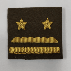 PALAS PARA CAMISA DORADAS - CARABINEROS