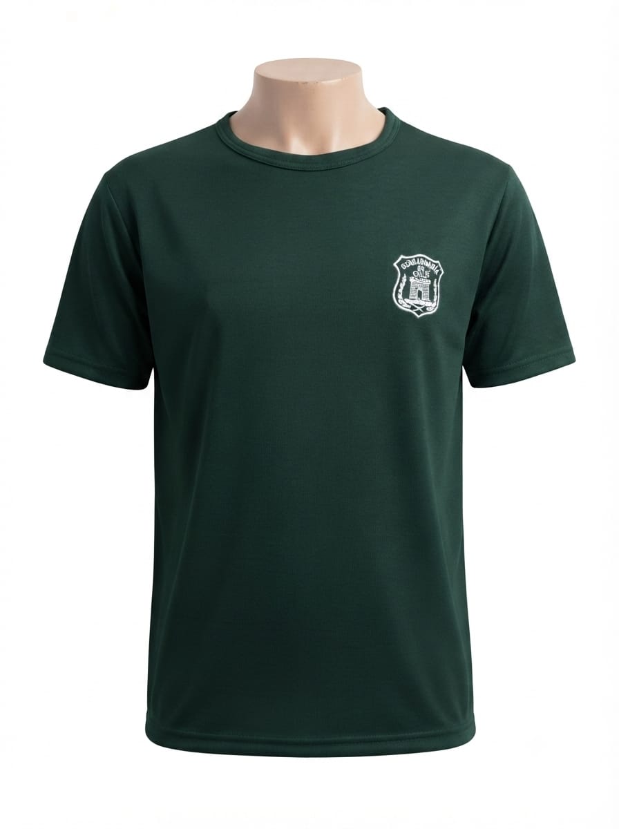 Polera Jersey Verde Bordada – Gendarmería