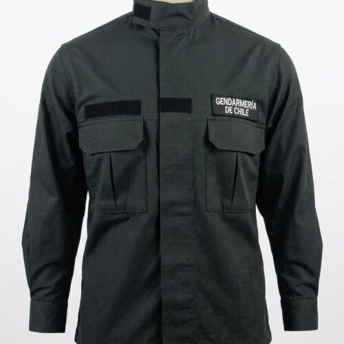 Blusa Régimen Interno Masculina Verde Boldo – Gendarmería