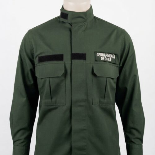 Blusa Régimen Interno Masculina Verde – Gendarmería